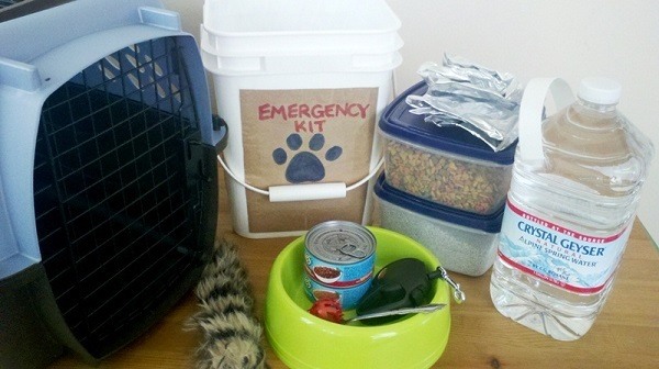 Pet emergency kit.